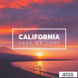 社交論壇廣告設計如何脫穎而出 創意與用戶體驗的雙重奏