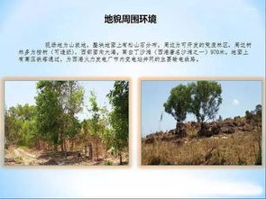 柬埔寨西哈努克港80公頃旅游地產(chǎn)開發(fā)項目推薦