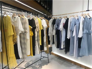 統(tǒng)衣服飾 慶陽品牌女裝批發(fā)四季供貨全解析
